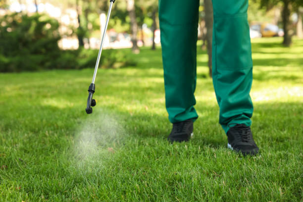 Best Pest Prevention Services  in Pecan Acres, TX