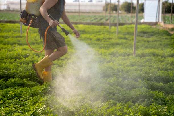 Best Best Pest Control Companies  in Pecan Acres, TX
