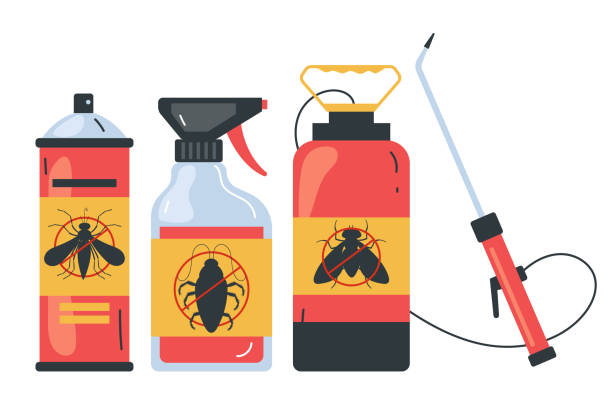 Best Pest Control Near Me in Pecan Acres, TX