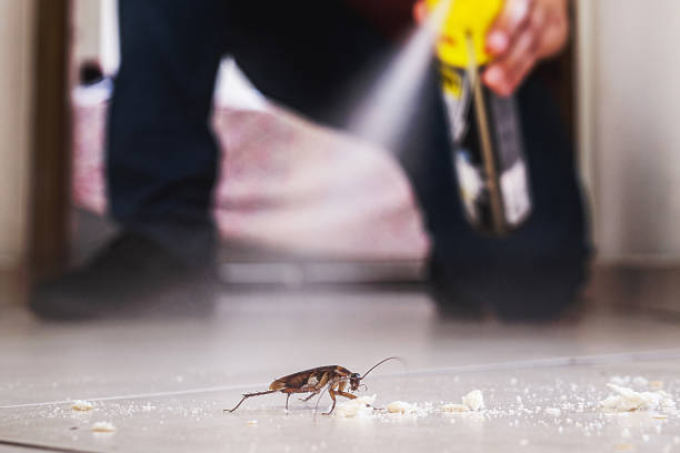 Best Pest Removal Services  in Pecan Acres, TX